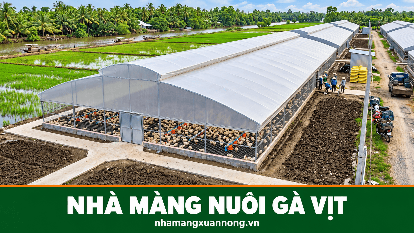 Nhà màng nuôi gà/vịt