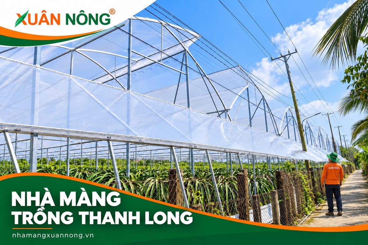 Kết cấu khung và lưới bao che của nhà màng trồng thanh long