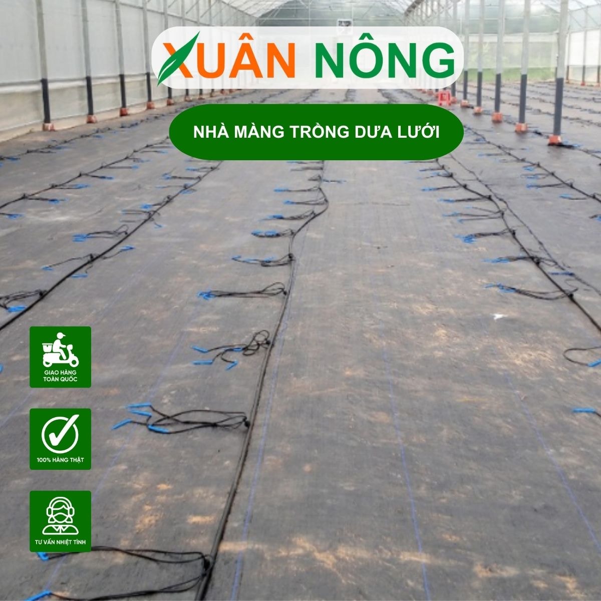Nhà màng ươm cây giống với khu vực chăm sóc cây con