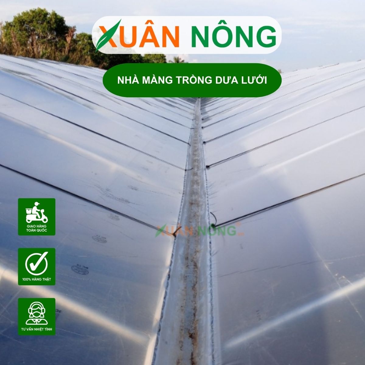 Khu ươm cây giống được bố trí trong nhà màng