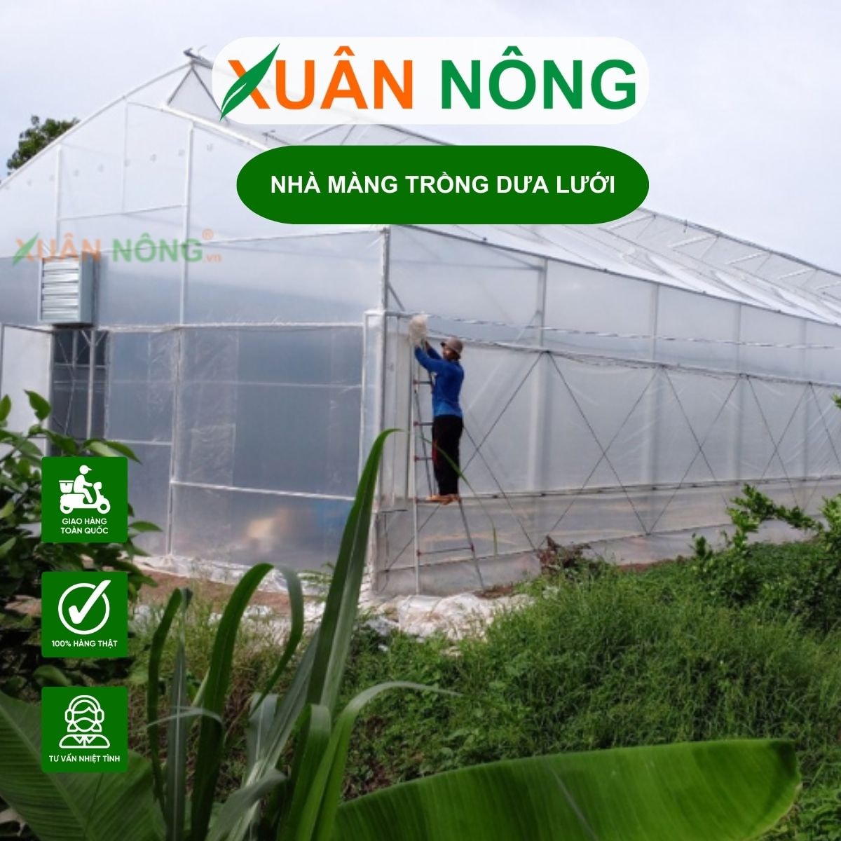 Hệ thống tưới trong khu nhà màng ươm cây giống