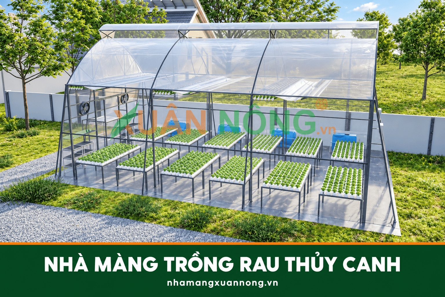 Nhà màng thủy canh