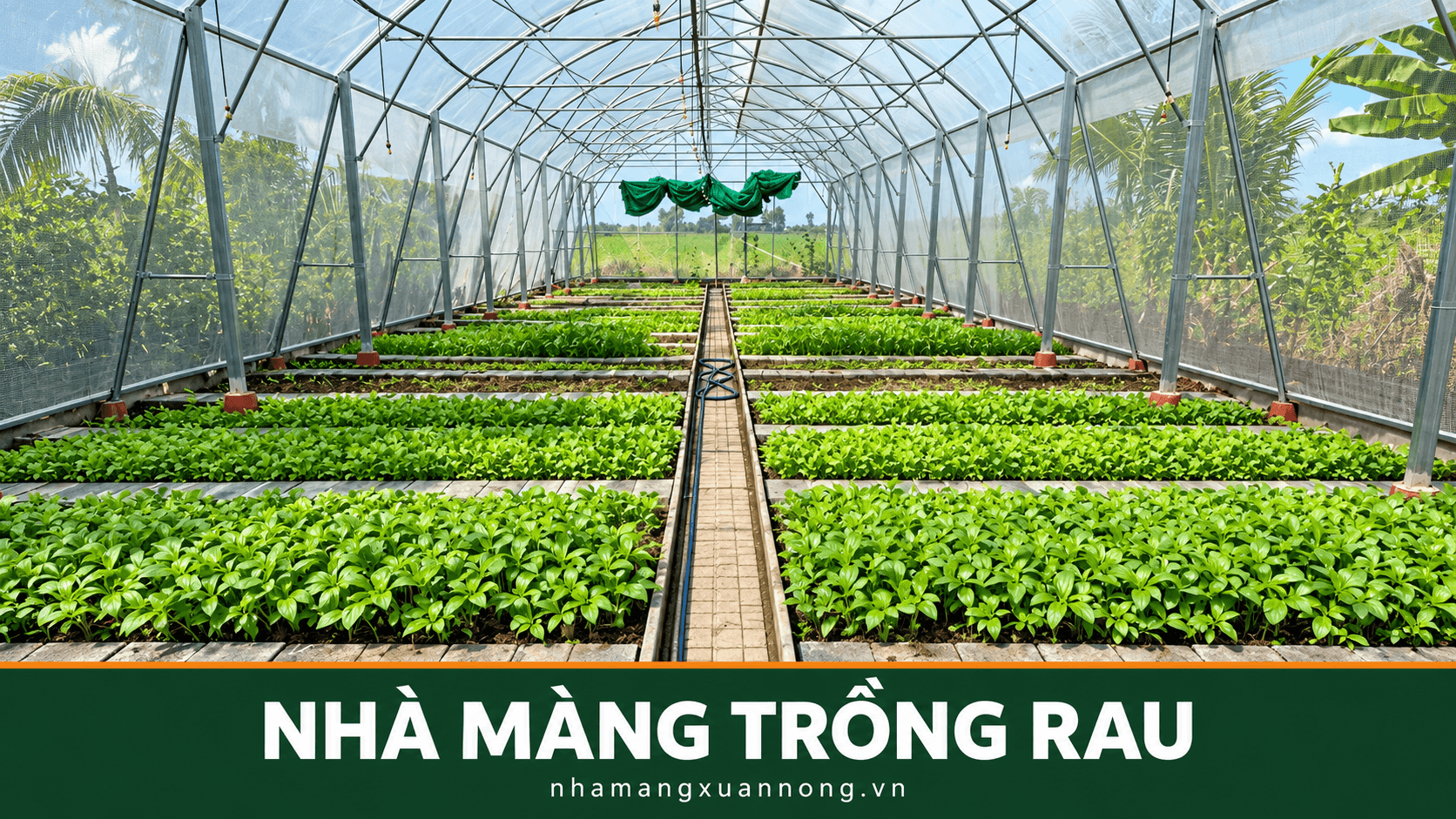 Nhà màng trồng rau